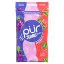 Pur Gum Jumbo ( 10 X 81G )