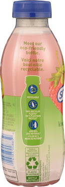 Snapple ( 12 X 473ML )