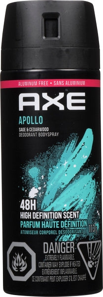 AXE Body Spray – ( 12 X 113G )