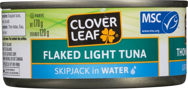 Clover Leaf Flaked (24X170G)