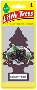 Little Tree Air Freshener (6X24X1's)